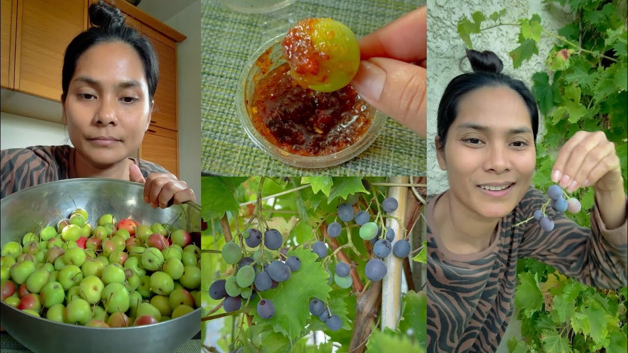 ឥតល្ហែ😁🍏អំបិលម្ទេសកូនត្រីចុចប៉មលឿងនិងទំពាំងបាយជូរទុំក្រអូបផ្អែមឆ្ងាញ់🍇