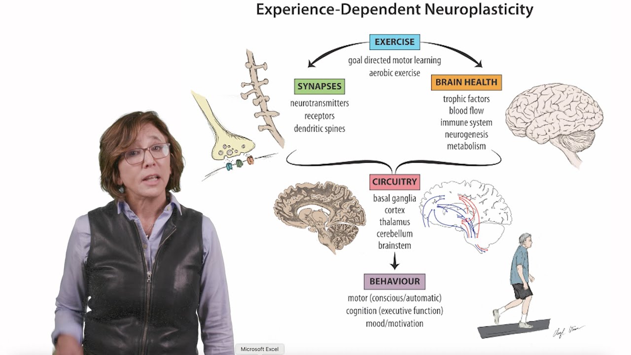 Research in 60 Seconds: skilled exercise & brain health