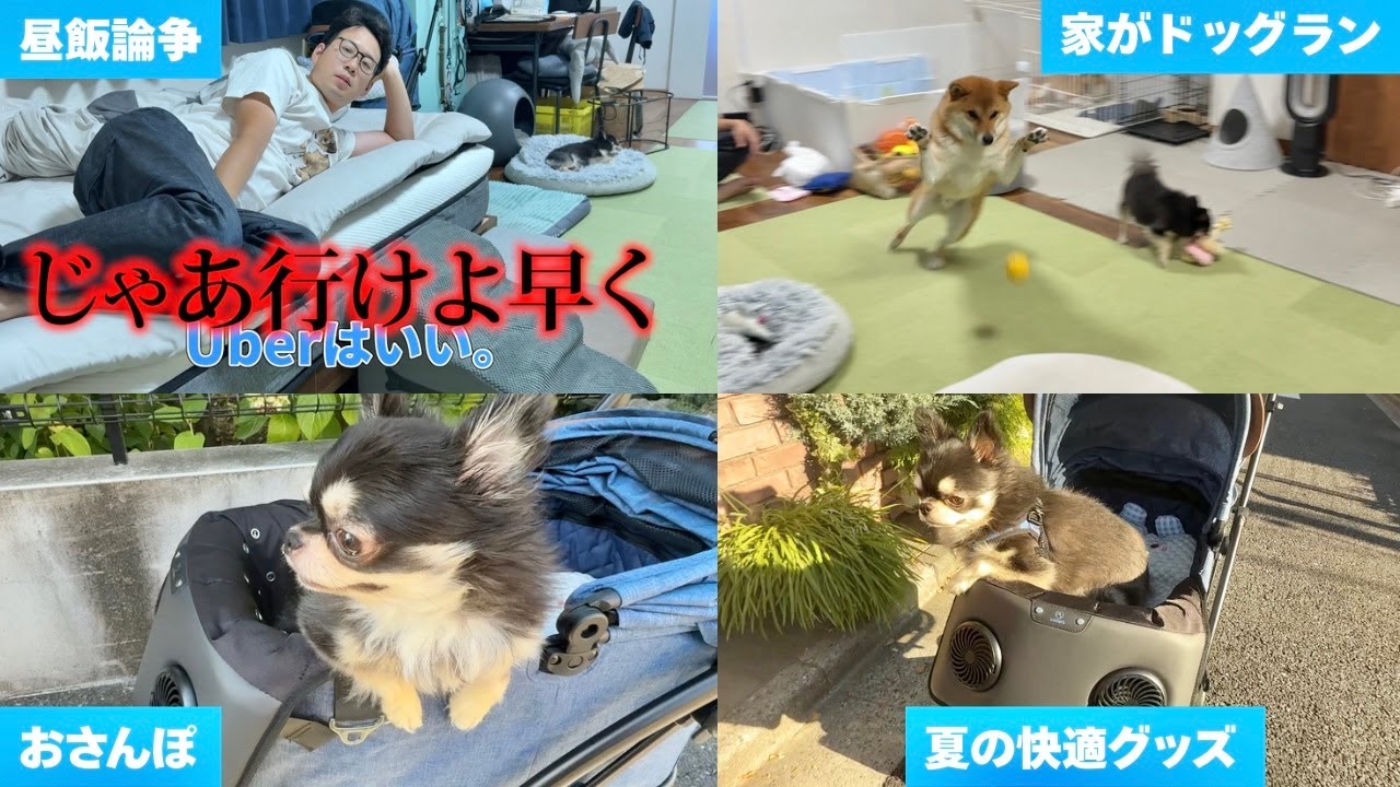 【快適グッズ】夏の神アイテム✨カートに取り付けるファンが優勝すぎる！