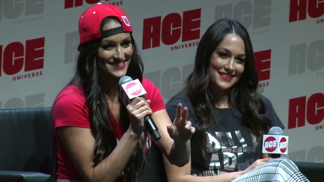 WWE Panel: The Bella Twins