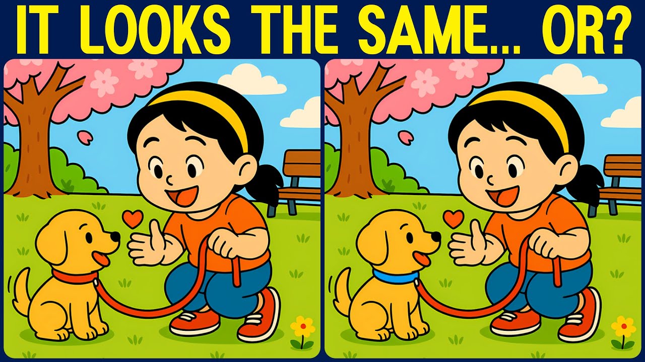 [Spot the Difference Brain Training] Similar pictures but can you easily see the difference?