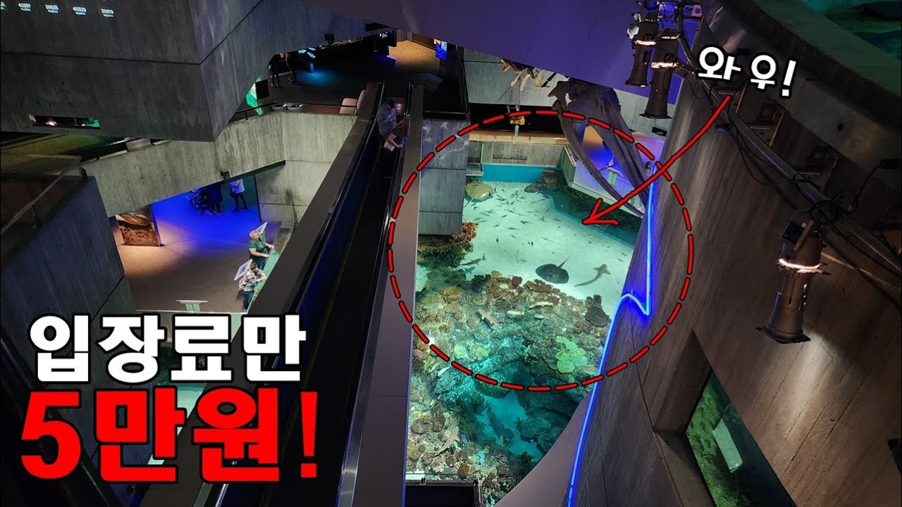 유명한 미국 아쿠아리움은 어떻게 되어있을까??