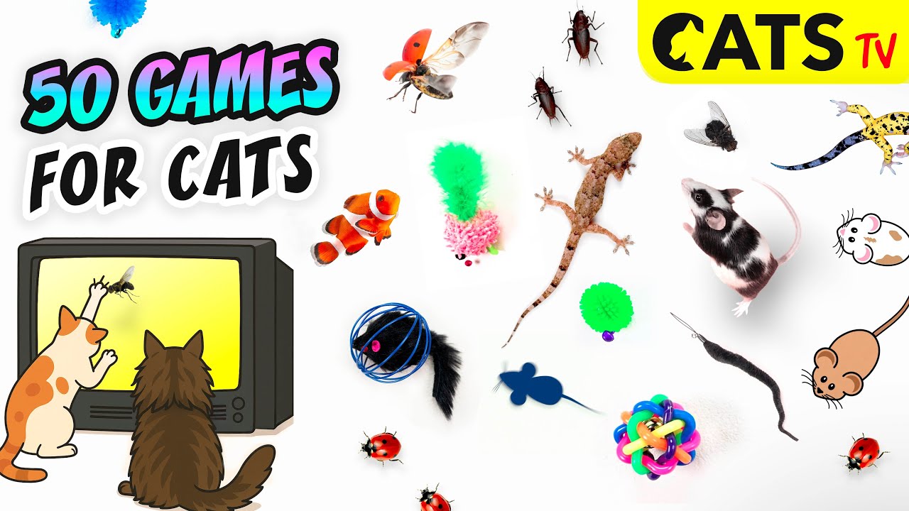 CATS TV 📺  50 GAMES IN 1 🐠🐭 Ultimate Compilation 😻 3D SOUND 🔊 (GAME FOR CATS)