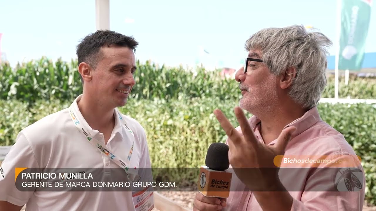 Patricio Munilla, Gerente de marca Don Mario grupo GDM.