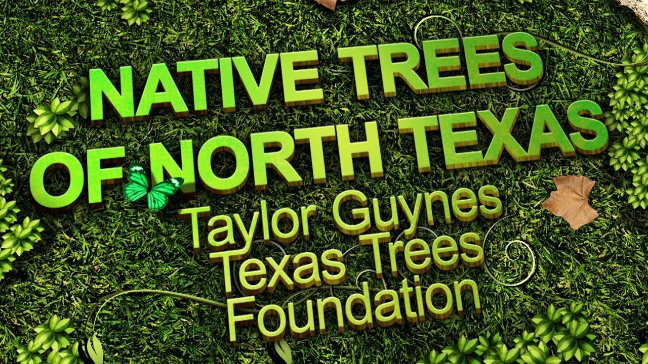 Native Trees of North Texas - Sustainable Landscape Series