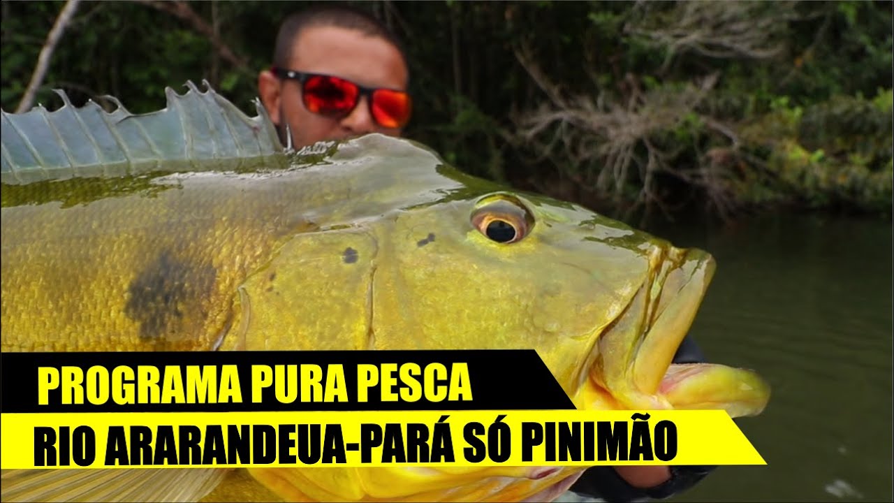PURA PESCA - RIO ARARANDEUA E SEUS GRANDES PINIMAS