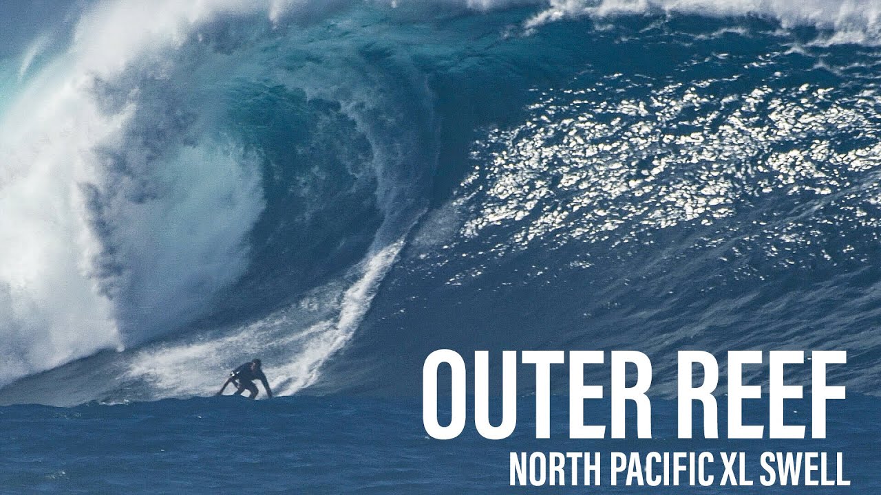 OUTER REEF : NORTH PACIFIC XL SWELL