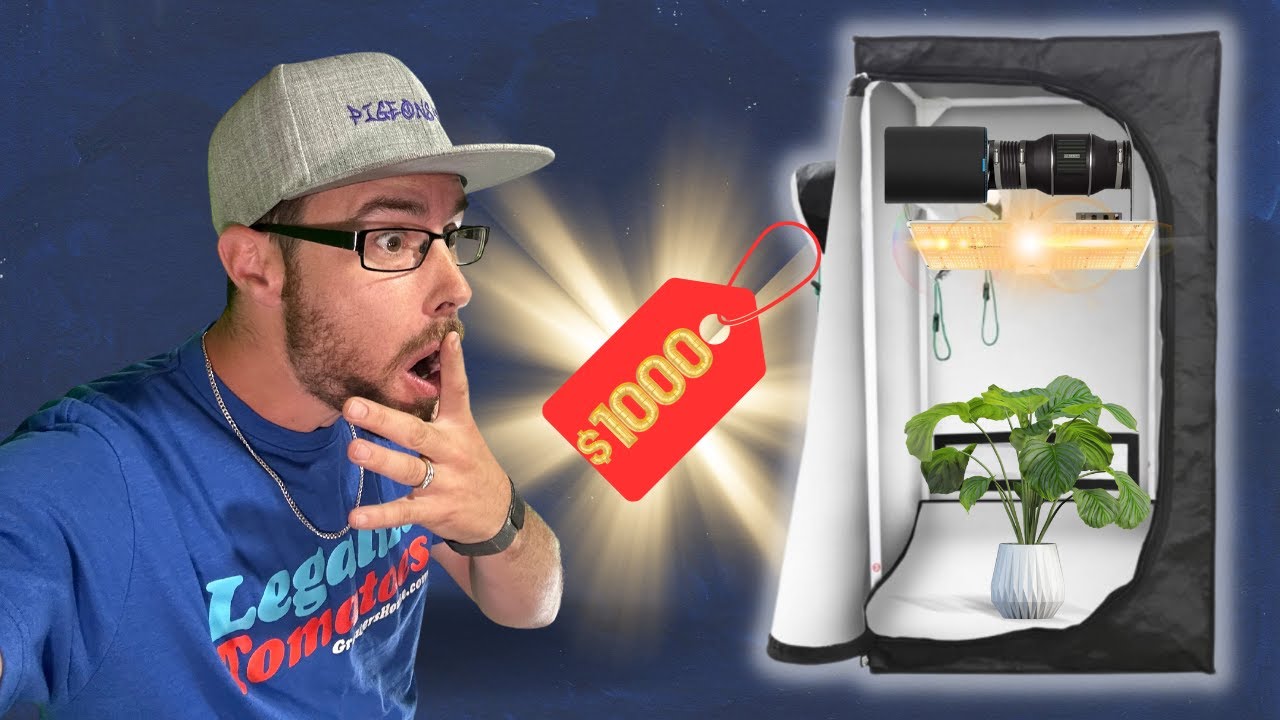 Building a Quality GROW SETUP for CHEAP