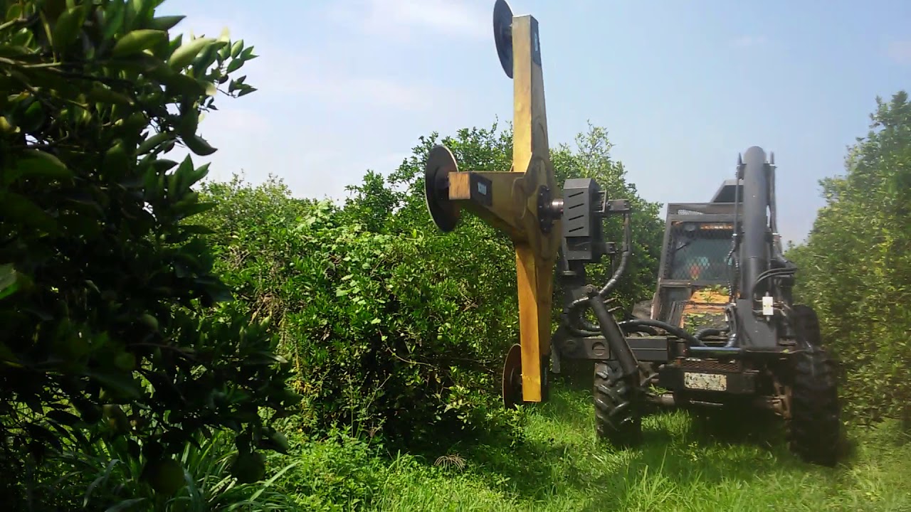 Podadeira lateral e topo  GTM AGRO(1)