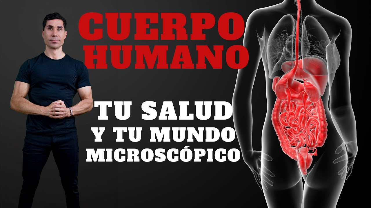 CUERPO HUMANO, nuestra salud y nuestro mundo Microsc&oacute;pico | Hache Acvdo