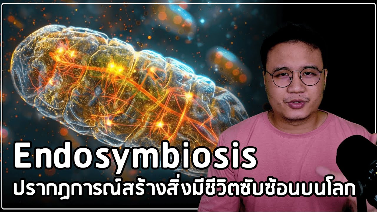 ต้นกำเนิด Mitochondria แหล่งผลิตพลังงานของเซลล์