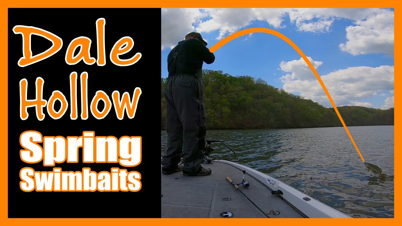 Dale Hollow Spring Smallmouth Fishing | Spring Swimbait Fishing