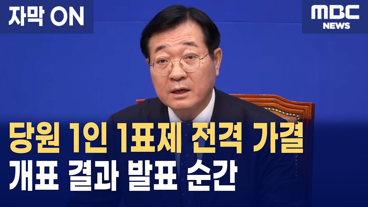 [자막] 더불어민주당 '당원 1인 1표제' 확정! 당권은 당원에게로