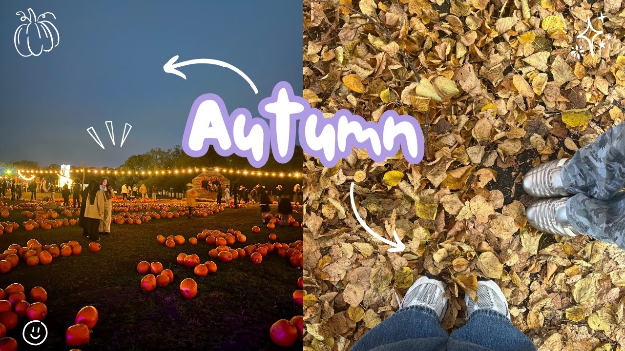 Autumn vlog :) - bakery, woods cafe, internship, shopping, pumpking farm