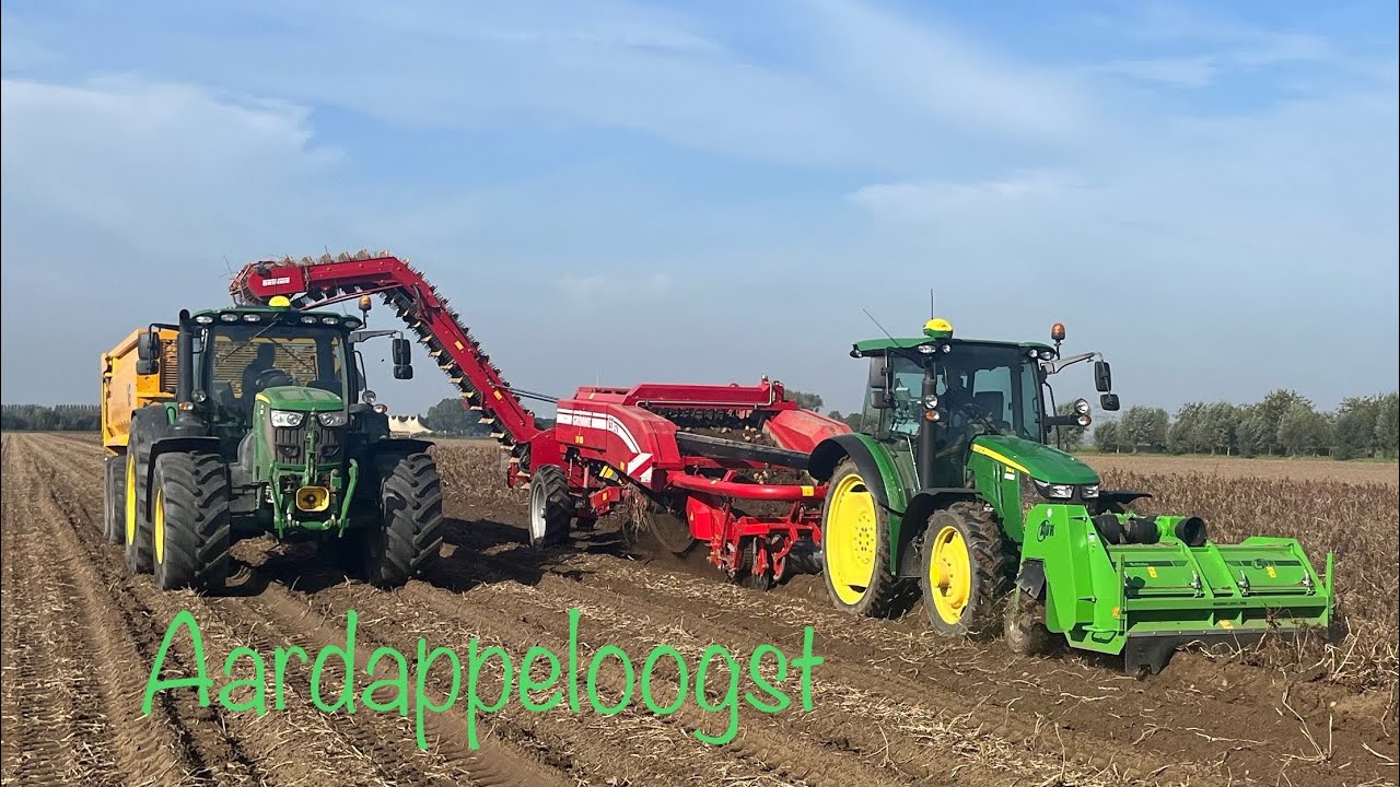 Aardappels rooien  / aardappeloogst  / Potato harvest / Kartoffelernte /  Pomme de terre