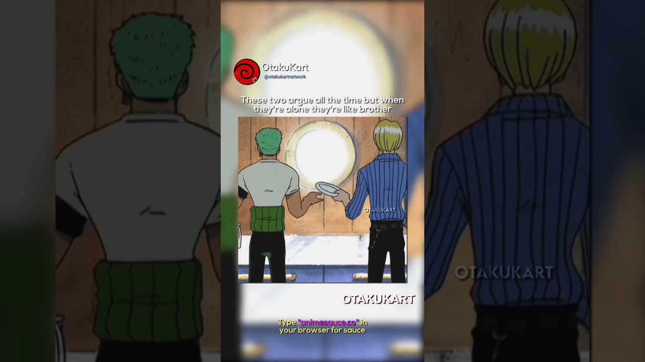 Zoro & Sanji fight all the time but they're alone they're brothers ❤️&zwj;🩹 #zoro #sanji #op #shorts