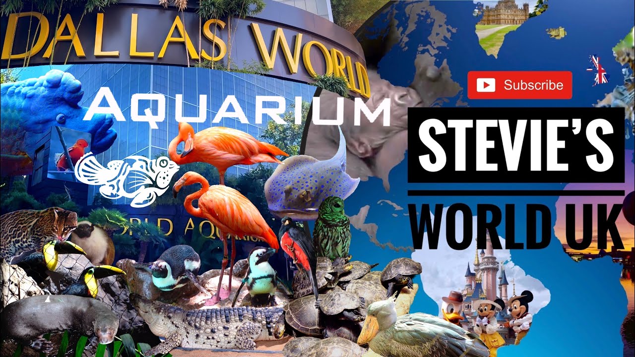 FULL TOUR OF THE DALLAS WORLD AQUARIUM TEXAS INCLUDING A 400,000 GALLON SHARK TUNNEL