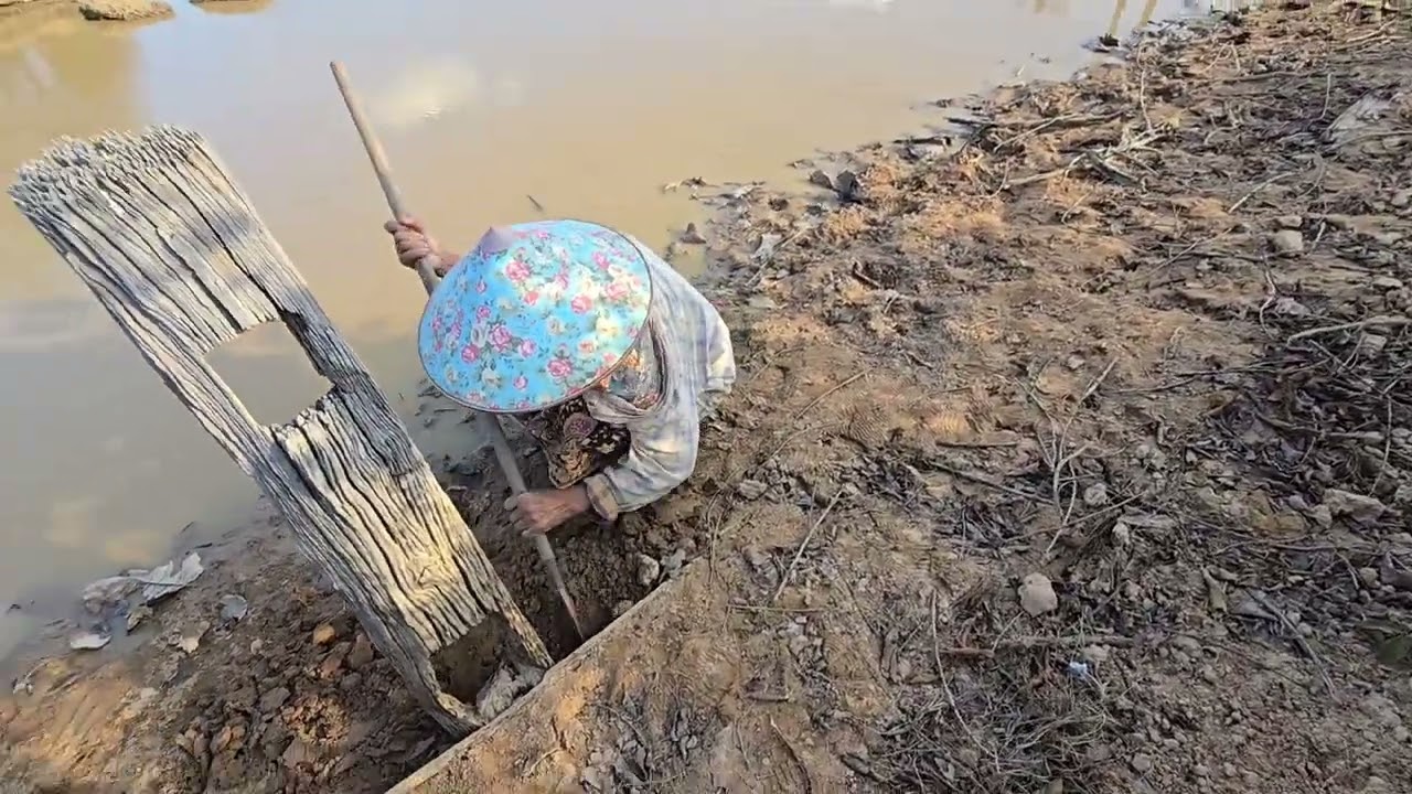 เฒ่าแม่พาไปหาหอยเข้ากับ ตามหนองวันนี้หมานอยู่นะ