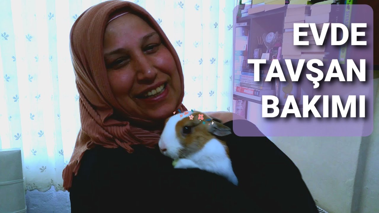 EVDE TAVŞAN BAKIMI | Sevimli Tavşanımız Kırpık