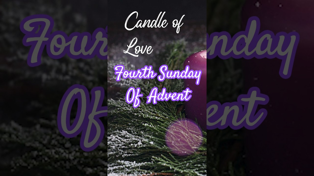 THE CANDLE OF LOVE 🕯️ FOURTH CANDLE OF ADVENT 🕯️ #advent #adventwreath