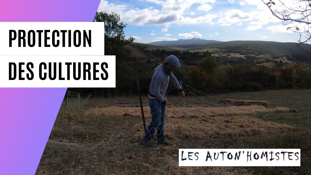 PROTECTION DES ZONES DE CULTURE - PERMACULTURE EP.2
