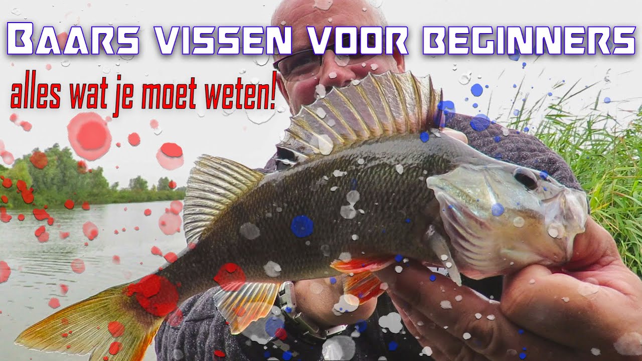Baars vissen voor beginners / Salmo Hornet