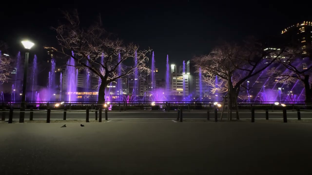 OSAKA River Fantasy