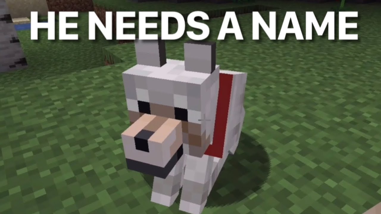 Friends Banter While Playing Minecraft | Part 1.