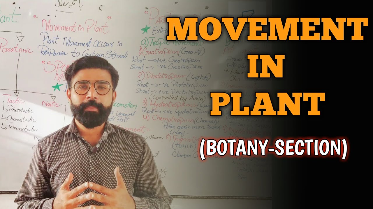 MOVEMENT IN PLANT || Support & Movement || Chapter-2 || Botany || Urdu/Hindi