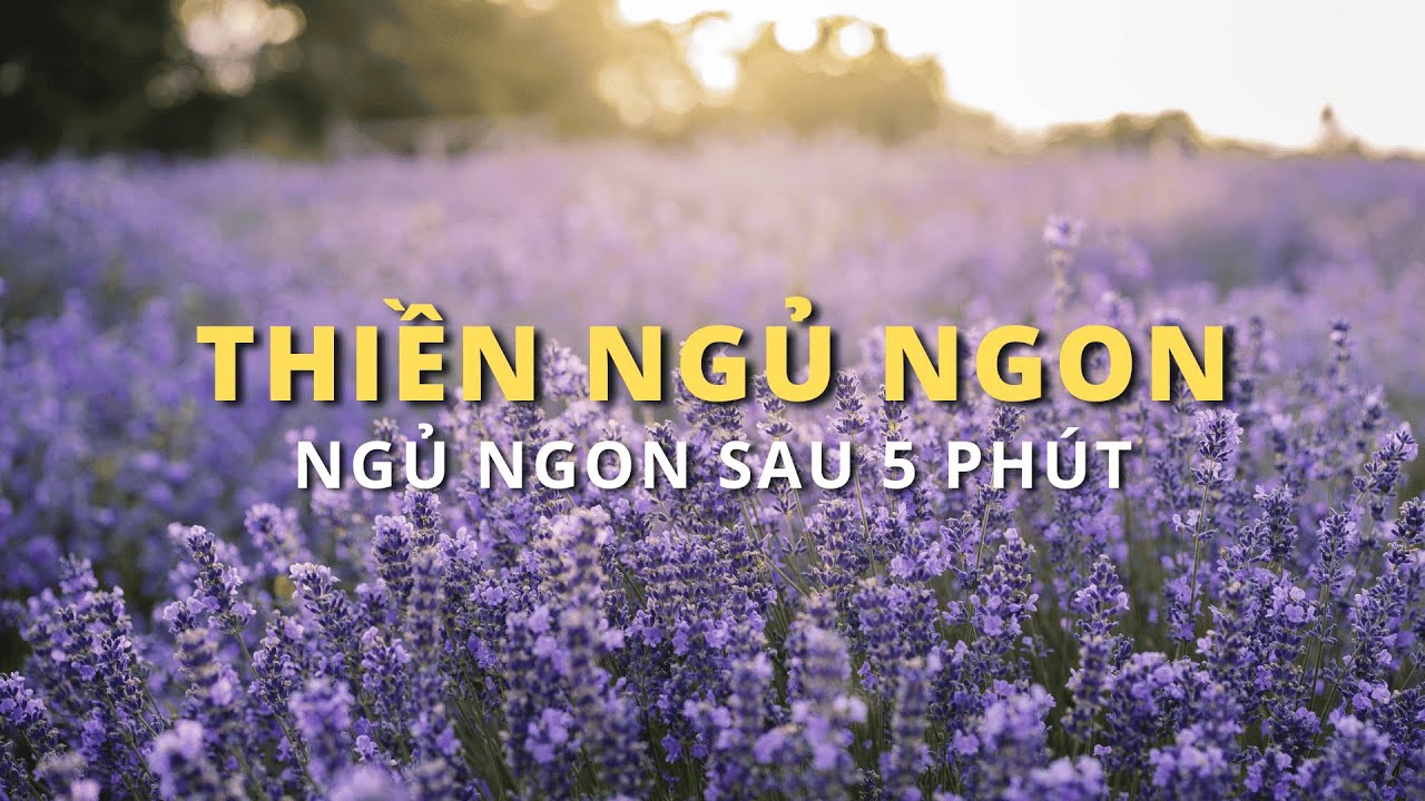 THIỀN NGỦ NGON SAU 5 PHÚT- thiền manifest, khẳng định về yêu thương bản thân, thư giãn, ngủ ngon