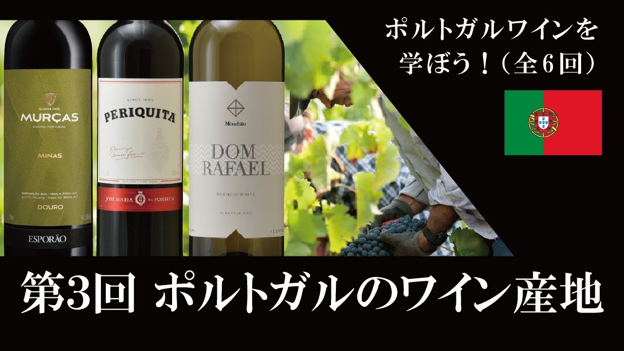 【ポルトガルワインを学ぼう 第3回】ポルトガルのワイン産地（全6回シリーズ）