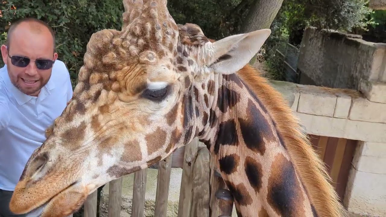 Zoo de La Palmyre - 4K
