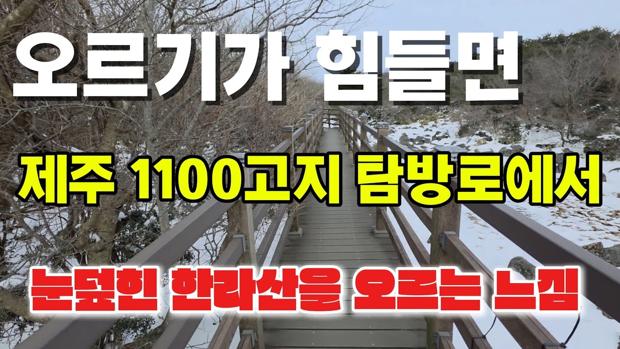 정상은 힘들다. 편한 탐방로 소개 😍😭💕 :  눈내린 습지 구경 🌿🌸 ❤️🧡💛💚 #한라산관광 #제주도1100