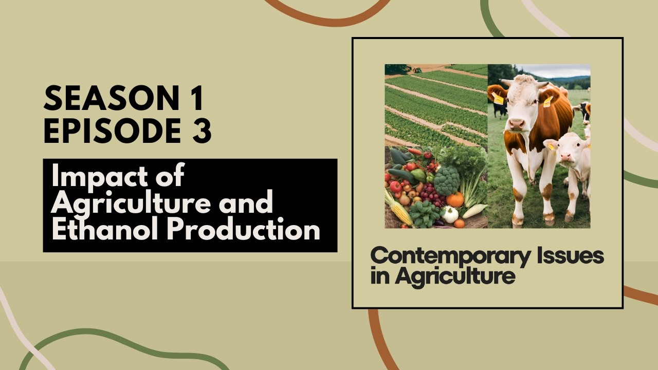 Impact of Agriculture and Ethanol Production