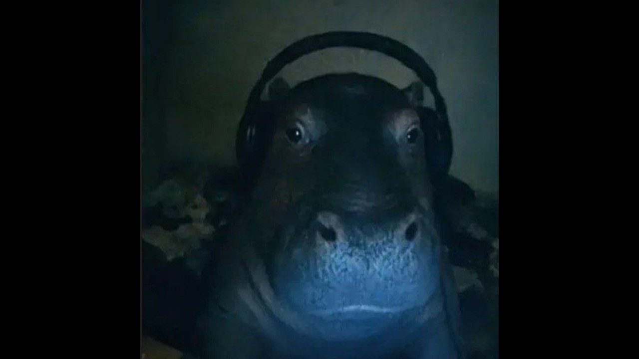 никогда не играйте в cs:go утром....