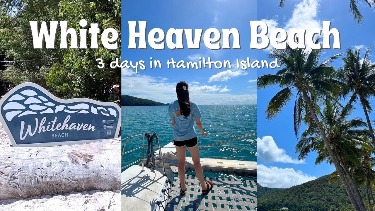 グレートバリアリーフの中心🏝️ハミルトン島で過ごす3日間 | ホワイトヘブンビーチ, シュノーケリング