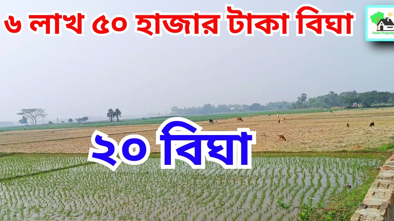 Fp - 773 | হুগলী জেলায় দারুন জমি | Fresh Property | Call - 9073 145 145