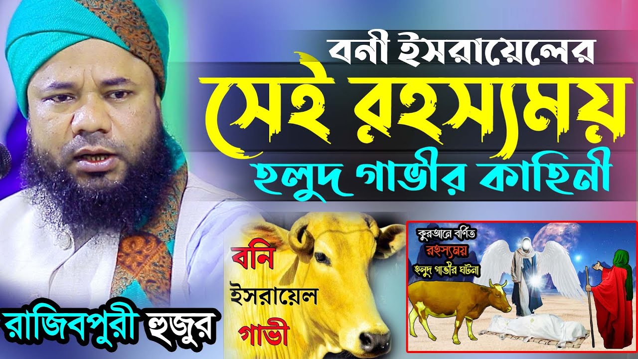 রহস্যময় সেই হলুদ গাভীর কাহিনী । Sharifuzzaman Rajibpuri New Waz 2026 মাওলানা শরিফুজ্জামান রাজিবপুরী