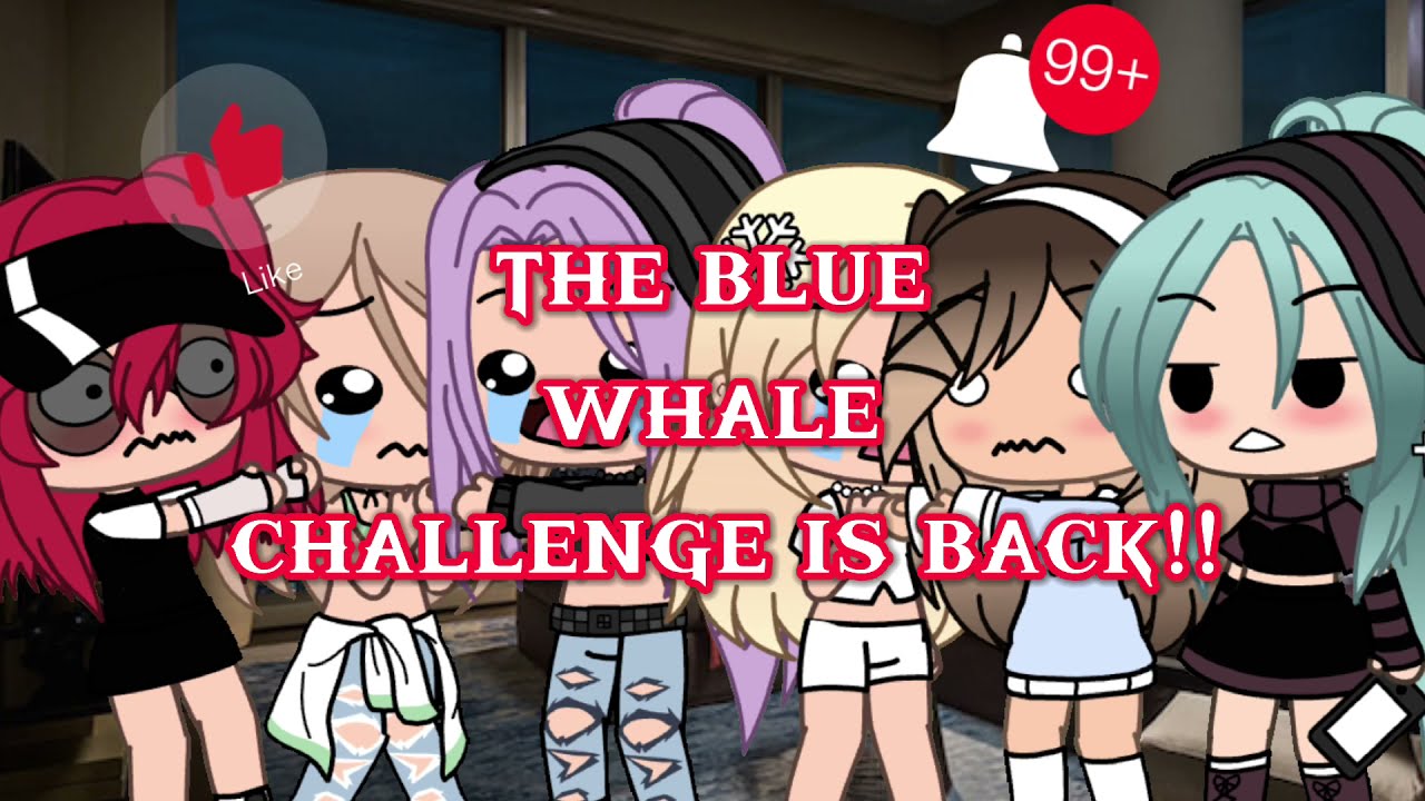The blue whale challenge is back!?