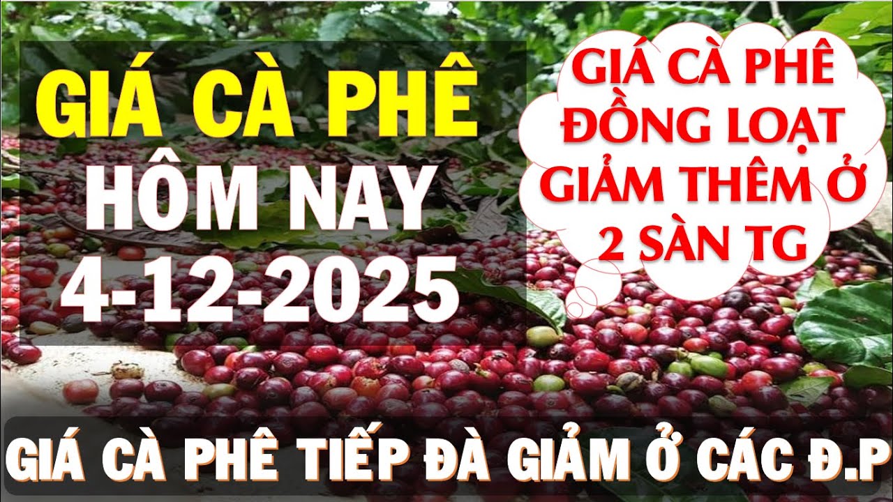 Gi&aacute; c&agrave; ph&ecirc; h&ocirc;m nay ng&agrave;y 4/12/2025|Gi&aacute; c&agrave; ph&ecirc; tiếp đ&agrave; giảm ở 2 s&agrave;n v&agrave; trong nước