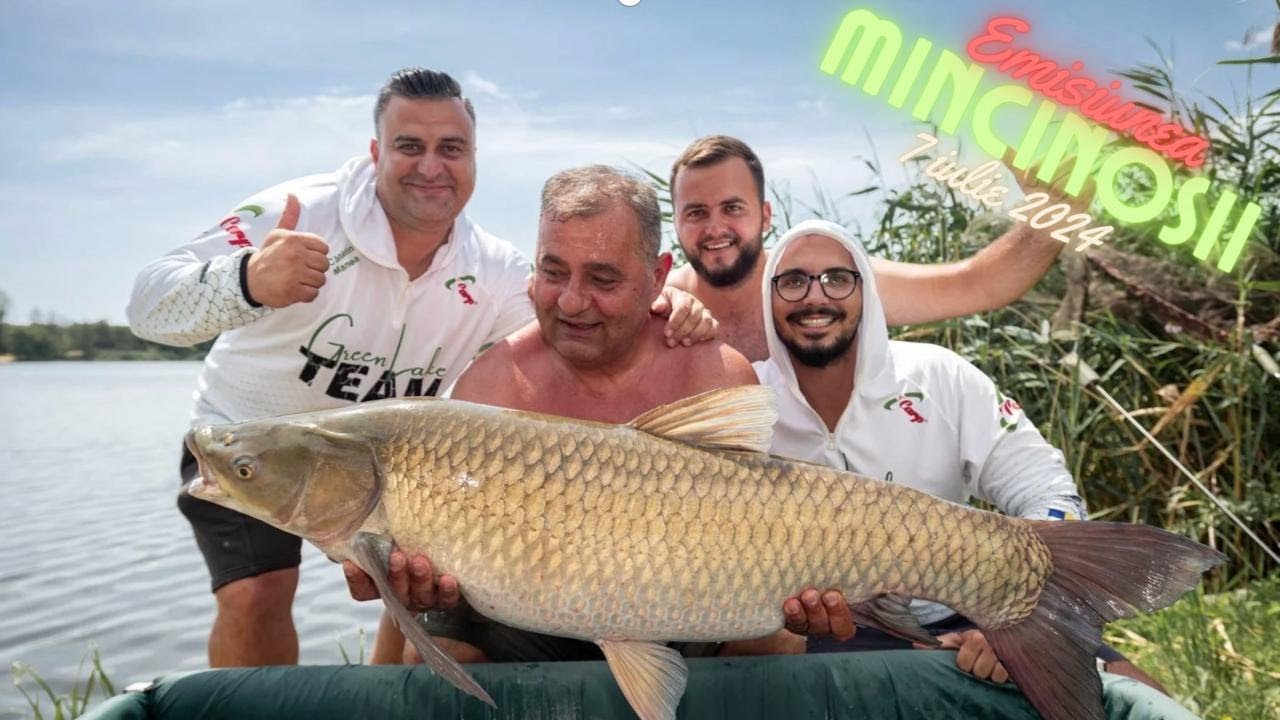 Mincinoșii - 7 iulie 2024