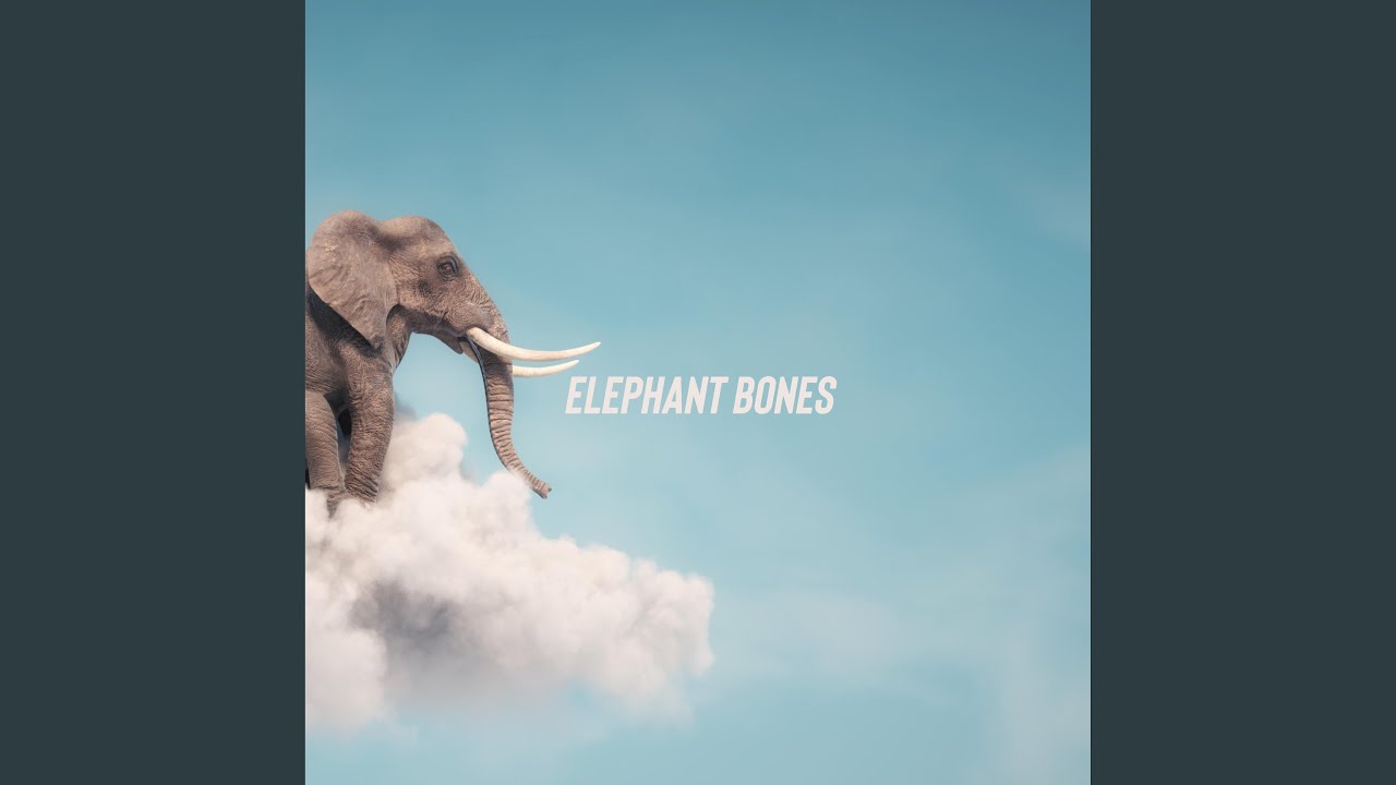 Elephant Bones