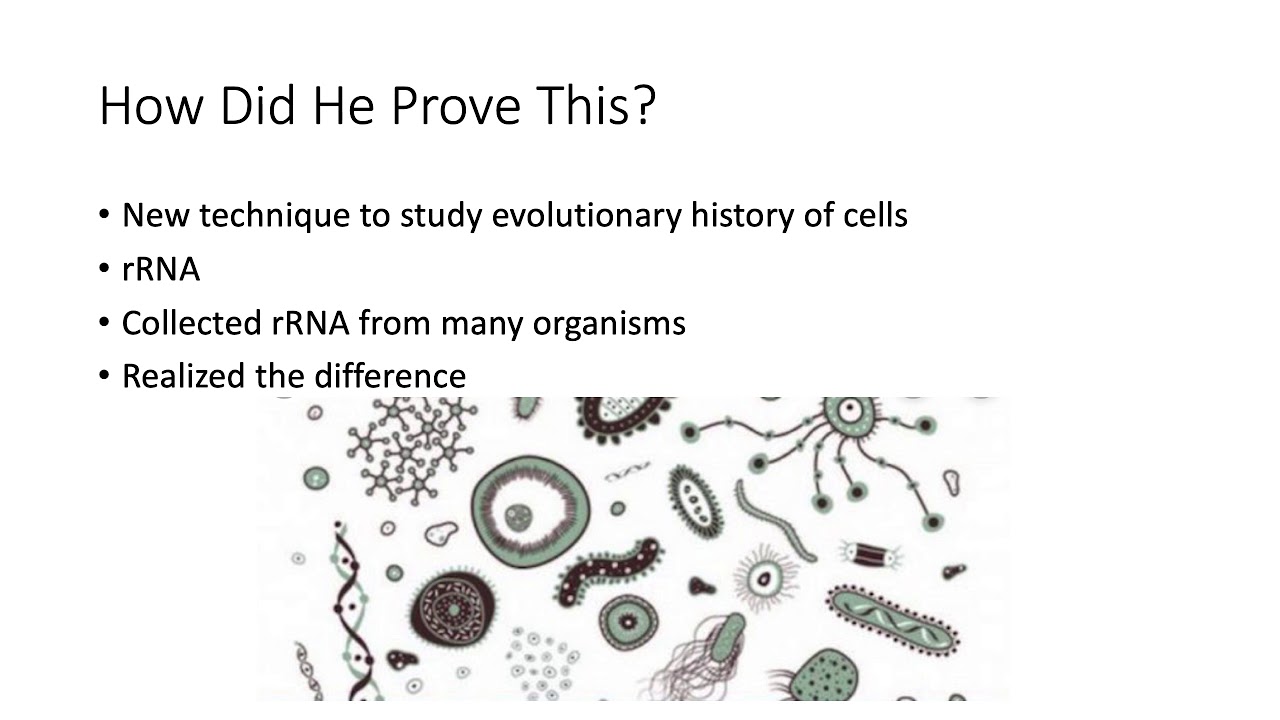 Carl Woese PechaKucha