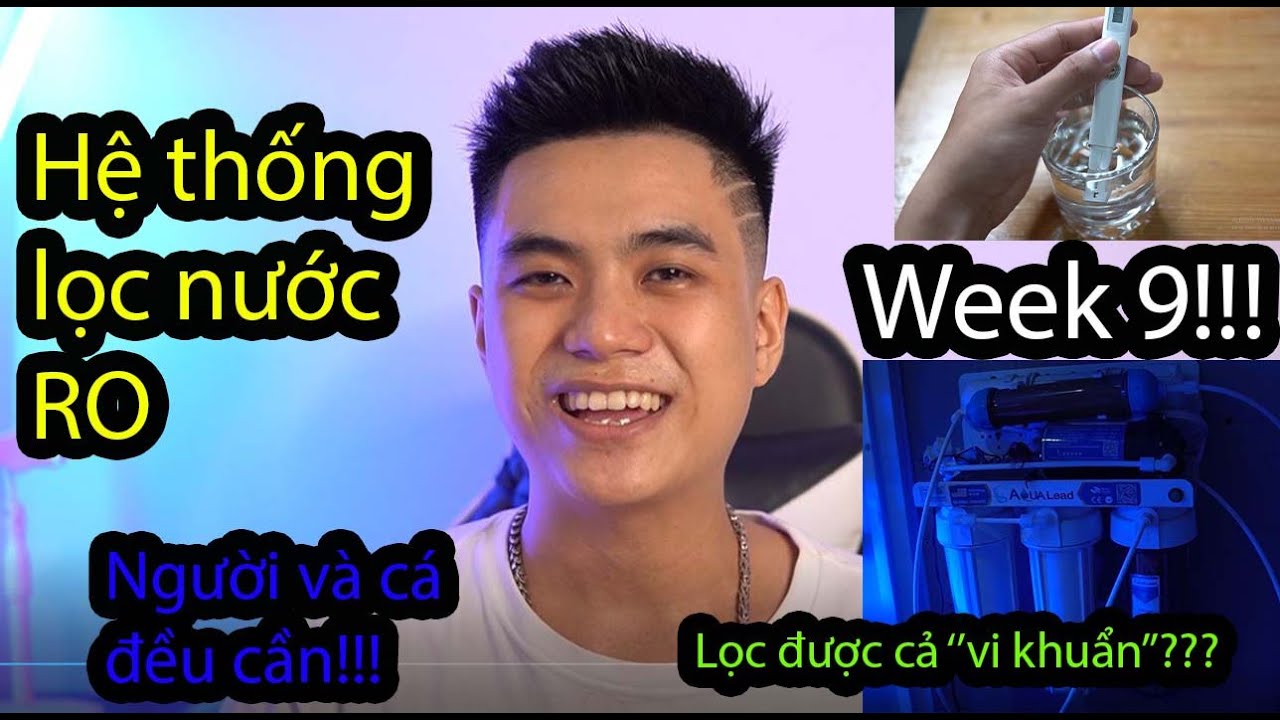 Week 9 : Hệ Thống Lọc RO Cho Bể Cá Biển Và Công Dụng Của Hệ Thông Lọc RO | 48 Weeks of Rina Reefing