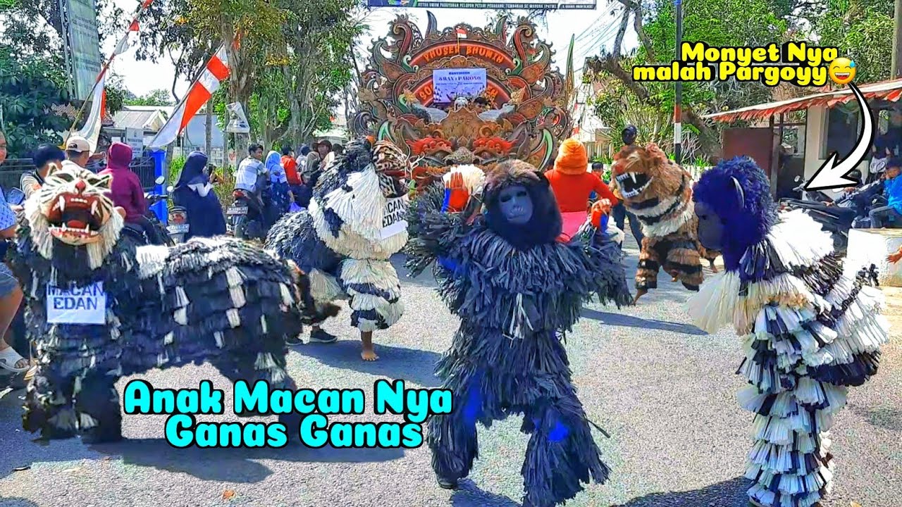 Bikin Ngakak 🤣 Duet Can Macanan Vs Daul Puser Bhumih Paling Seru 😅