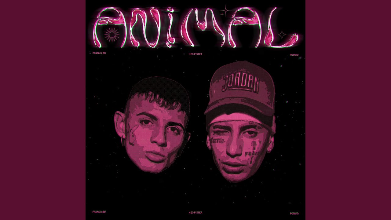 Animal