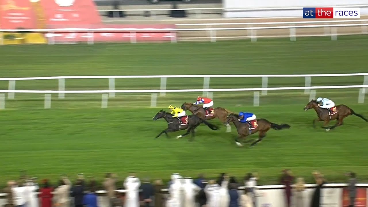 ROYAL CHAMPION выигрывает Bahrain International Trophy! 🇧🇭🥇