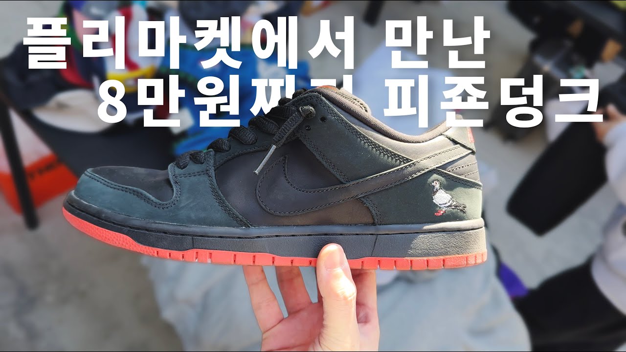 플리마켓에서 만난 피죤 덩크