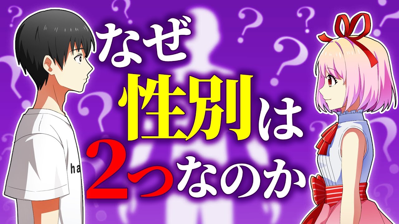 性別が三つあったらどうなるのか？【アニメ】【漫画動画】
