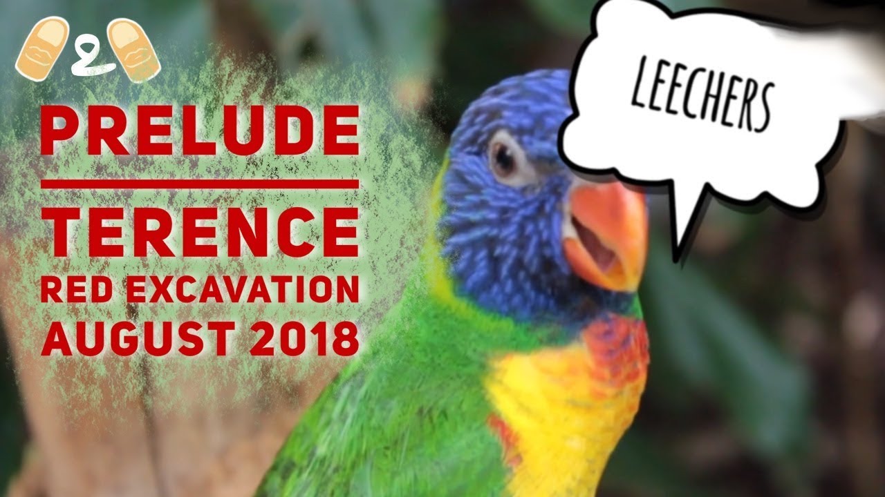 Angry Birds Evolution Terence Red Excavation Prelude Event August 2018